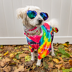 Generic placeholder image