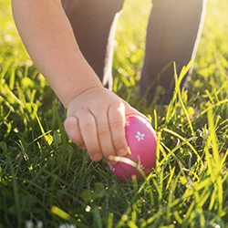 Generic placeholder image